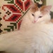 Scandinaviafinds