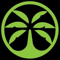 PalmettoBands