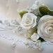 Posh Bridals avatar