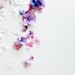 FabricsByLucy