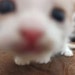 Buyer Avatar