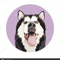 seffydesign
