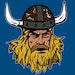 VikingBasement