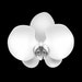 White Orchid avatar