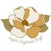 sugarmagnoliathrift