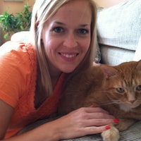 BigOrangeTabby