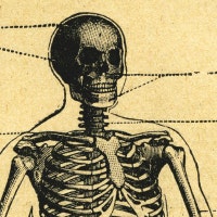 lapressedelalex