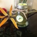 NELLYS SEASONING avatar