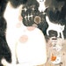 Buyer Avatar