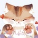 Fluffetic admin