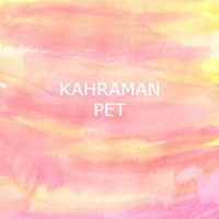 KAHRAMANPET