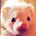 Jessica Plapp avatar