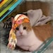 Buyer Avatar