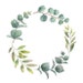 LindenFlowers