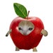 Buyer Avatar