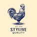 StyLiveClothes