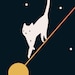 Threadful Cat