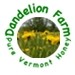 DandelionFarm