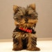 Buyer Avatar