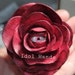 IdolHandsArtCo