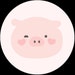 PaperPigCompany