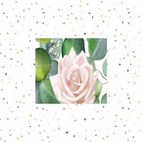 NorthernBelleFinds