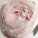 CandleCrafterCorner