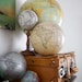 capple0782