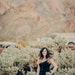LemonandLacePresets