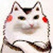 Buyer Avatar