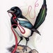 Mary Magpie