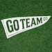 GoTeamCo