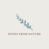 NotesfromnatureShop