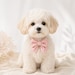 puppypawGift
