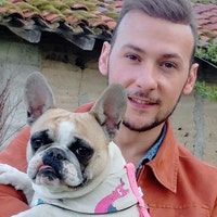 Stylidog