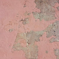 zuppistudio