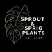 Sprout and Sprig Plants