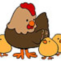 AlbuquerqueHens