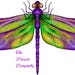 PurpleDragonflyHome