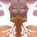 endiodesigns