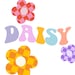 DaisyPlumParty