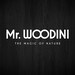 MrWoodini