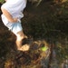 Barefoot Enterprises