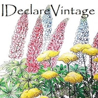 iDeclareVintage