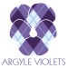 argyleviolets