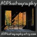 adphotography