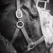 OnceUponAGemJewelers