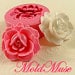 Silicone Molds