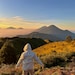 Winda