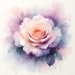 Tendercraftcreations
